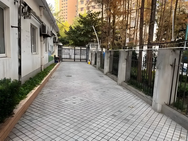 红楼之玉落谁家